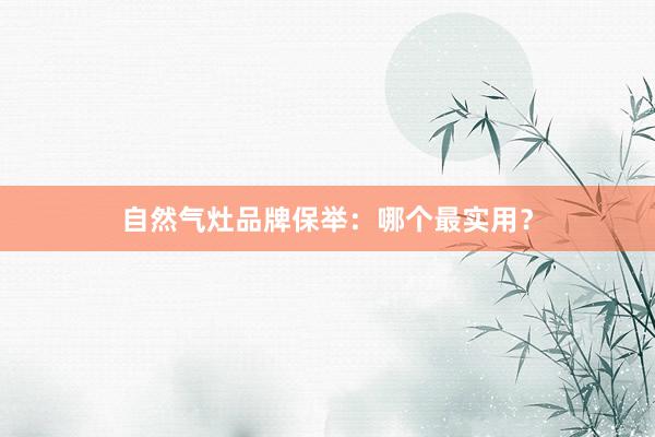 自然气灶品牌保举：哪个最实用？